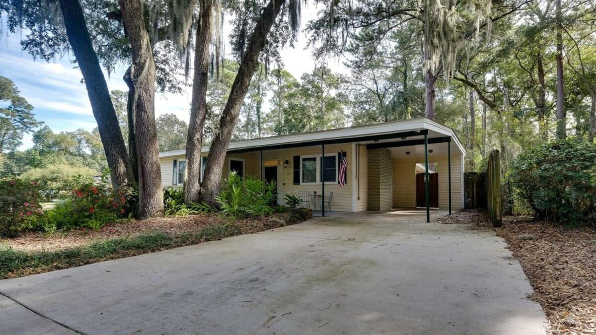 Halcyon Hangout-mins To Downtown-ping Pong-pets * Savannah