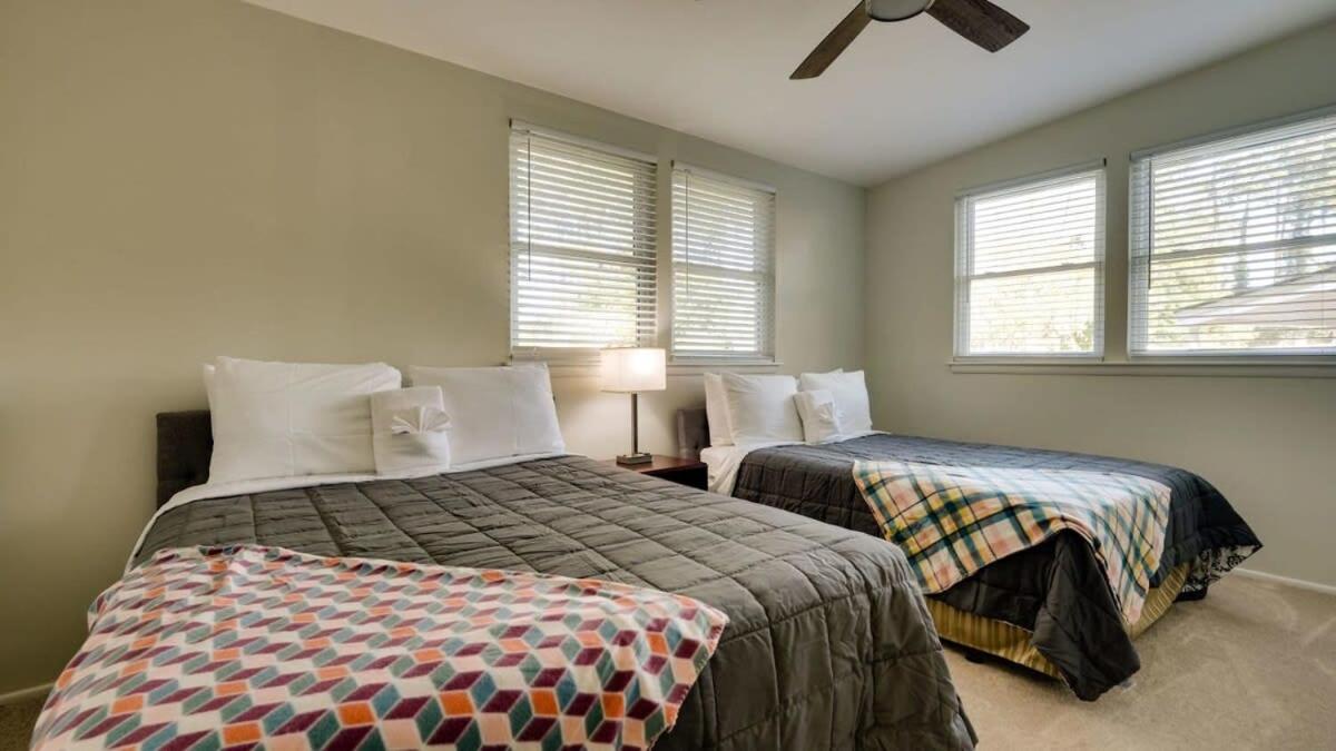 Halcyon Hangout-mins To Downtown-ping Pong-pets Savannah